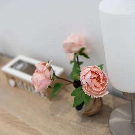 דירה E-home וארנה