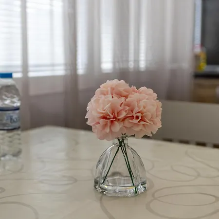 Apartamento E-home *